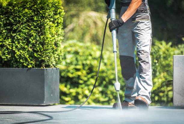 Animal Enclosure Cleaning in Great Falls Crossing, VA